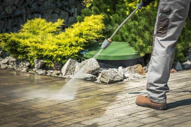 Best Roof Washing  in Freeport, NY